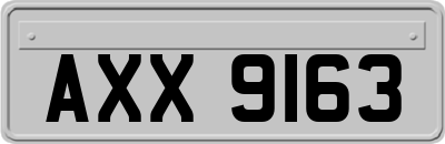 AXX9163