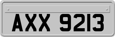 AXX9213