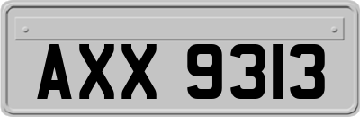 AXX9313