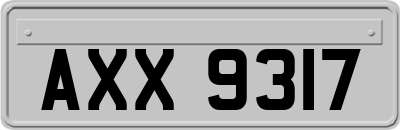 AXX9317