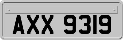 AXX9319