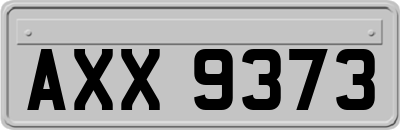 AXX9373
