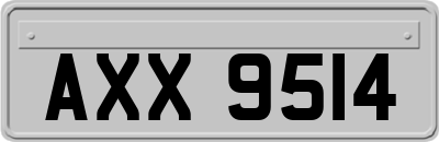 AXX9514