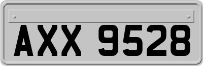 AXX9528