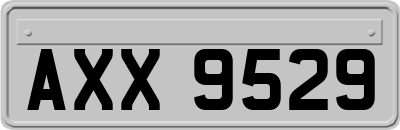 AXX9529