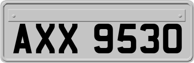 AXX9530