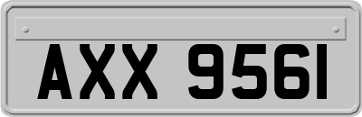 AXX9561
