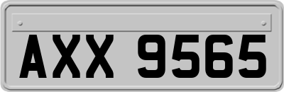 AXX9565