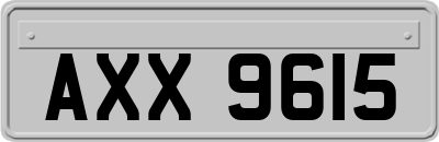 AXX9615