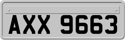 AXX9663