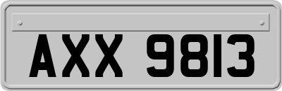 AXX9813