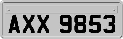 AXX9853