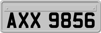 AXX9856
