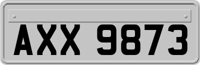 AXX9873