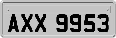 AXX9953