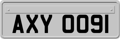 AXY0091