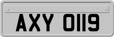 AXY0119