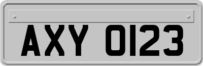 AXY0123