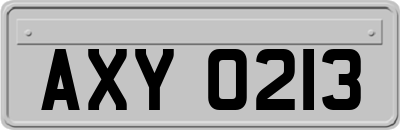 AXY0213