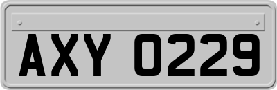 AXY0229