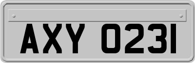 AXY0231