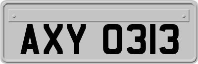 AXY0313