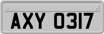 AXY0317
