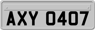 AXY0407