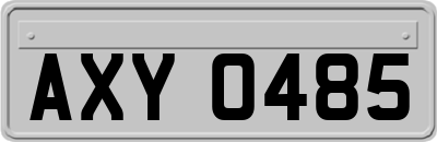 AXY0485