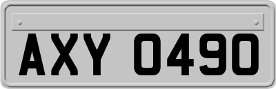 AXY0490