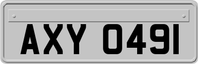 AXY0491