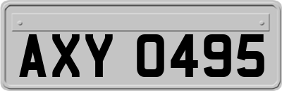 AXY0495
