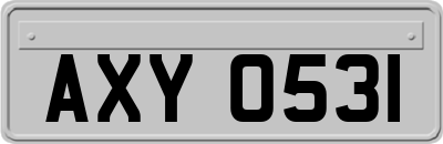 AXY0531