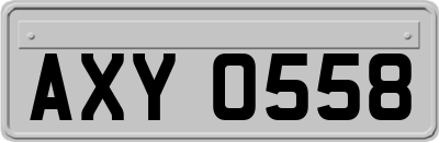 AXY0558
