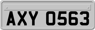 AXY0563