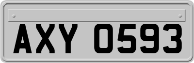 AXY0593