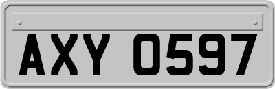 AXY0597