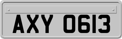 AXY0613