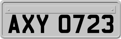 AXY0723