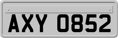 AXY0852