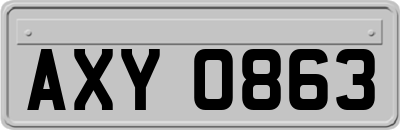 AXY0863
