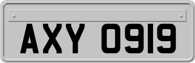 AXY0919