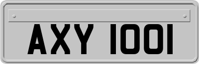 AXY1001