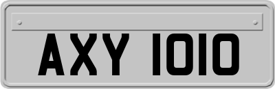AXY1010