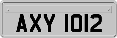 AXY1012