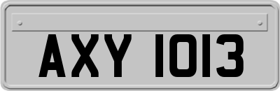 AXY1013