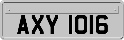 AXY1016