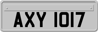 AXY1017