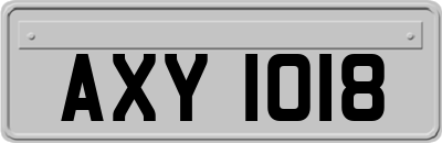 AXY1018
