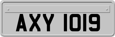 AXY1019